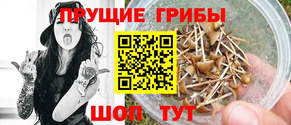 Тольятти  Псилоцибиновые грибы прущие грибы  Вход с VPN 